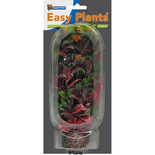 Superfish SF Easy Plante moyenne N°6 (20cm) 8715897164996 A4070240