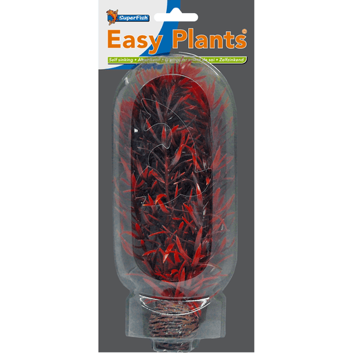 Superfish SF Easy Plante moyenne N°7 (20cm) 8715897165009 A4070245