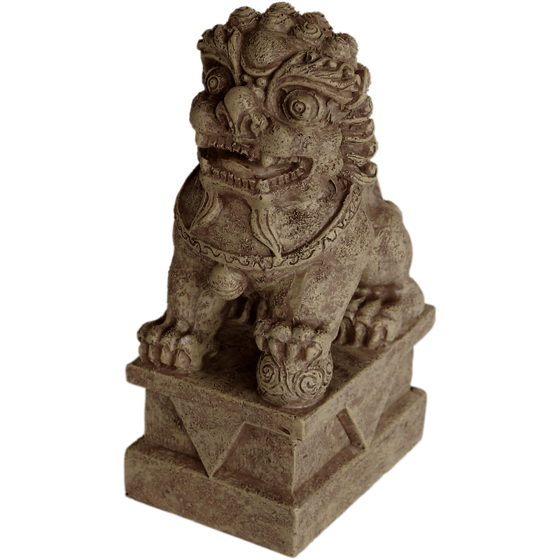 Superfish SF Zen Deco Food Dog 8715897222757 A4041015