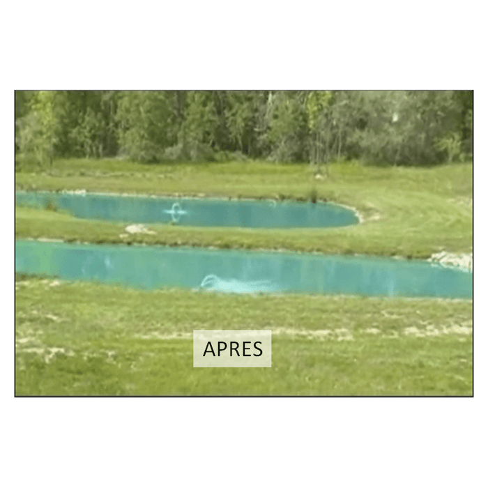 Taso Solutions pour étang naturel Aquipond BLUE MARINE 1KG (10 SACHETS) - Colorant pour étang naturel - Blue Lake