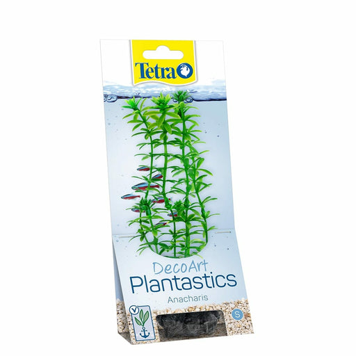 Tetra Plantastics anacharis S - 22CM 4004218270176 203270176
