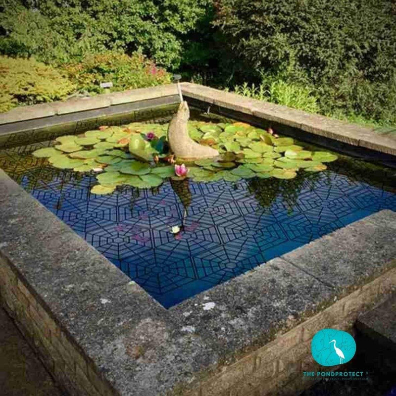 The PondProtect Barriere flottante "toile d'araignée" - Pack de 10pièces - Solution efficace contre les hérons WSM21060104