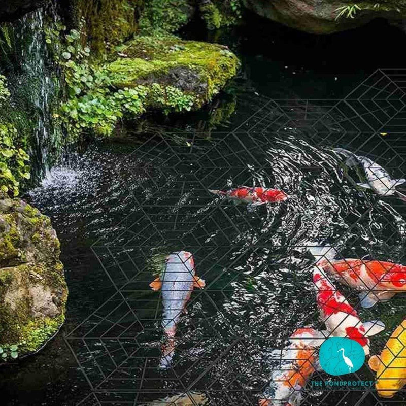 The PondProtect Barriere flottante "toile d'araignée" - Pack de 10pièces - Solution efficace contre les hérons WSM21060104