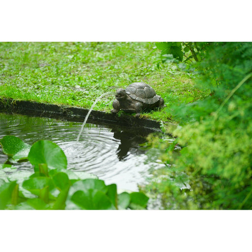 Tortue, H.14 cm, cracheur d'eau, décoration bassin, Ubbink, achat