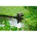 Ubbink Gargouilles Gargouille Tortue 14CM - Cracheur pour petit jeu d'eau - Ubbink 1386091