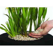 Velda Galets Blancs 8L - Pond Gravel 8711921008700 123260
