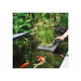 Velda Plantes PANIER FLOTTANT pour plantes aquatiques - FLOATING PLANT ISLAND RONDE 35 CM 8711921230774 127573