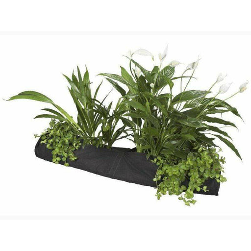 Kit panier flottant carré avec plantes aquatiques de bassin