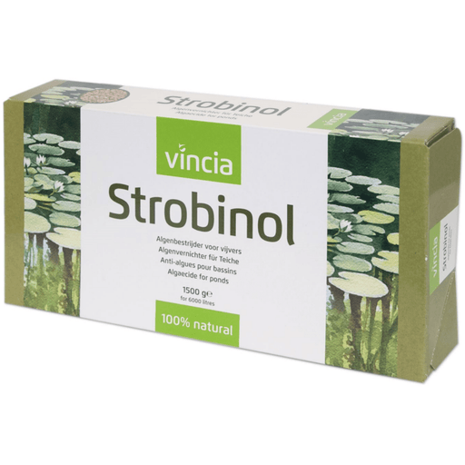 Vincia Algues STROBINOL 3000 ML - Traitement anti-algues 8711921084285